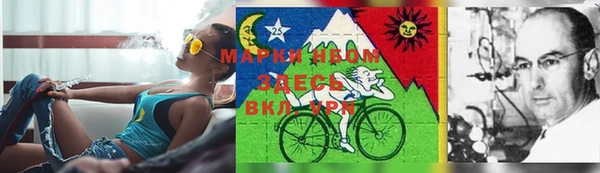 PSILOCYBIN Алексеевка