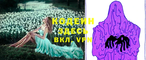 дурь Алексин