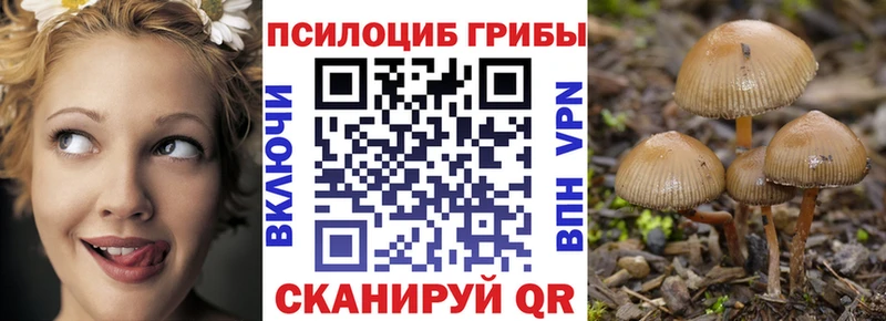 Псилоцибиновые грибы прущие грибы Алзамай